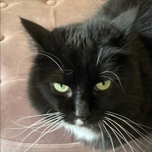 Meet your Posher, Jill